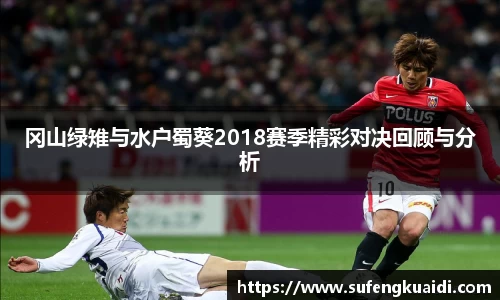 冈山绿雉与水户蜀葵2018赛季精彩对决回顾与分析